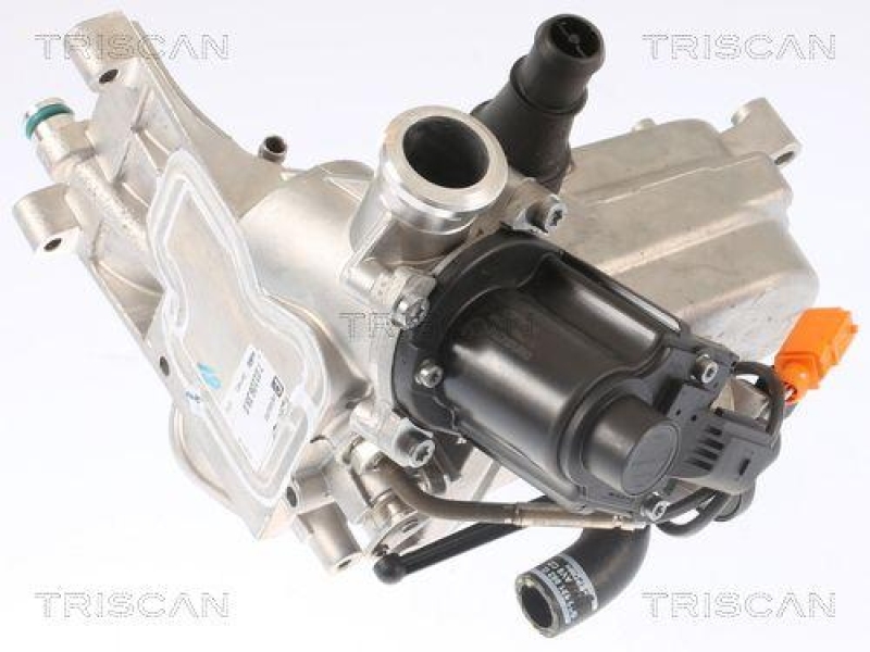 TRISCAN 8813 29321 Agr Ventil f&uuml;r Audi, Vw, Porsche