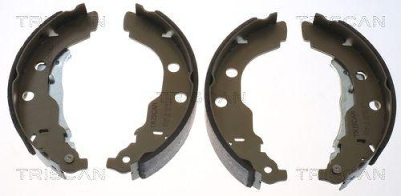 TRISCAN 8100 28582 Bremsbacken für Peugeot 406