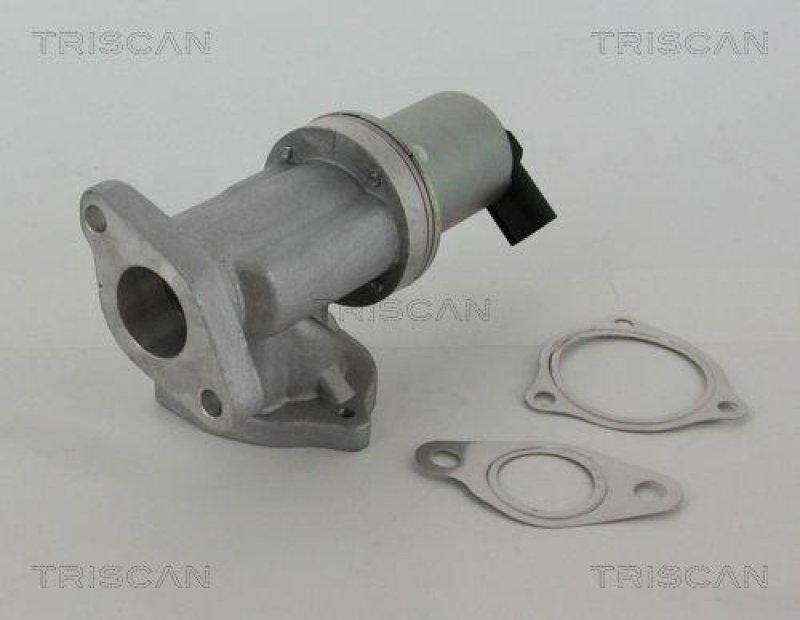 TRISCAN 8813 43002 Agr Ventil für Hyundai/Kia