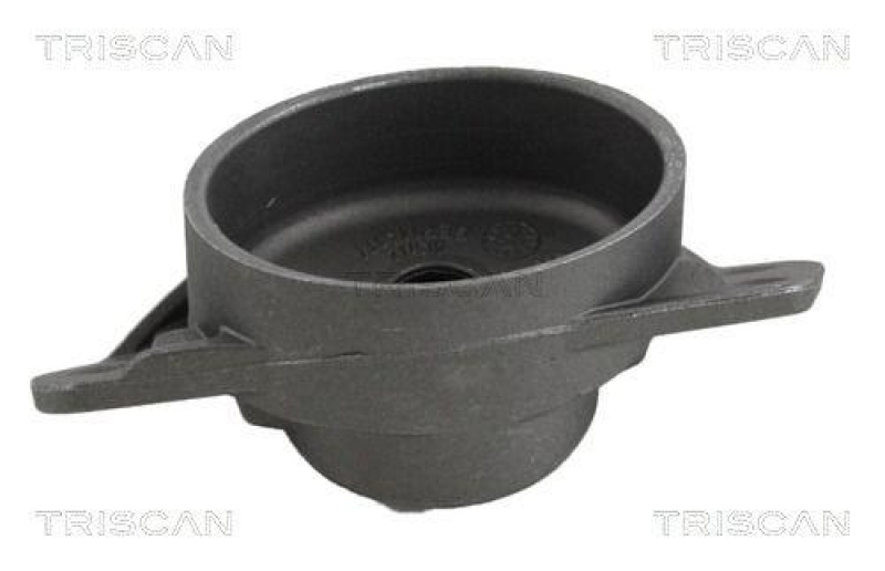 TRISCAN 8500 29921 Federbeinlager Hinten für Audi, Seat, Vw