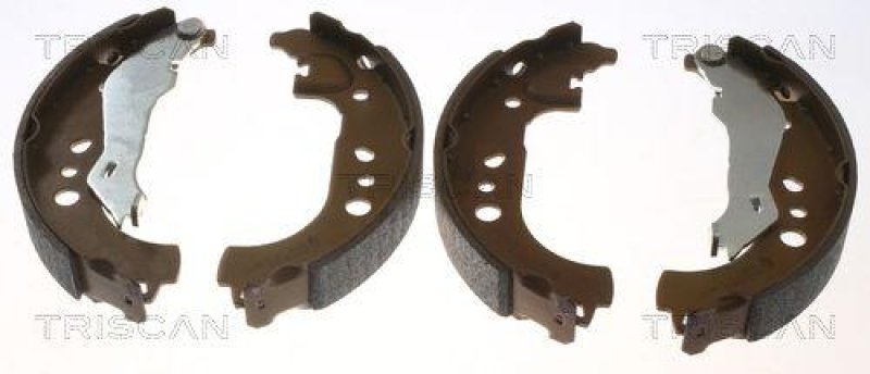 TRISCAN 8100 29531 Bremsbacken für Seat, Skoda