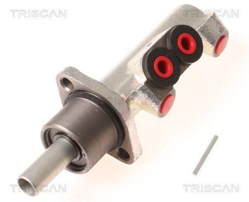 TRISCAN 8130 10113 Hauptzylinder für Ford, Seat, Vw