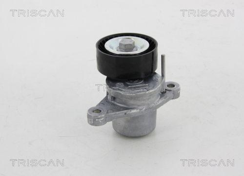 TRISCAN 8641 281028 Spannrolle für Citroen