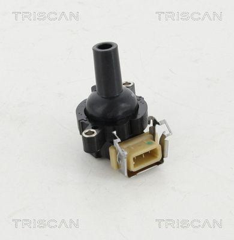 TRISCAN 8860 11017 Zündspule für Bmw