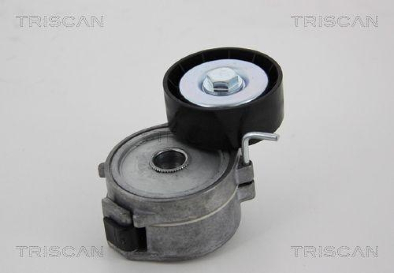 TRISCAN 8641 281029 Spannrolle für Citroen