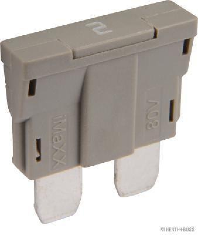 HERTH+BUSS 50295847 Sicherung Standard, 80 V, 2 A