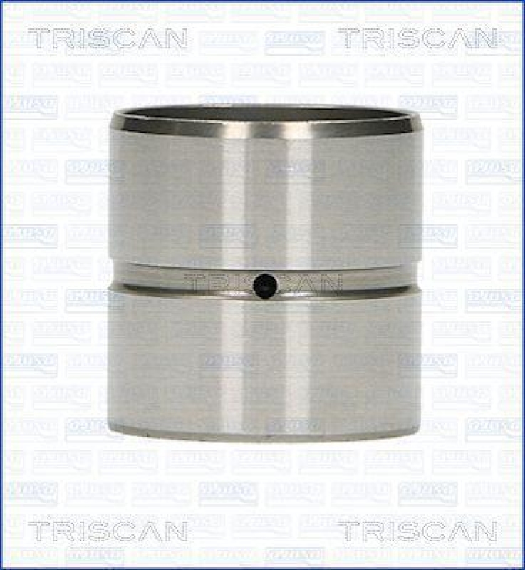 TRISCAN 80-29001 Ventilstössel für Volkswagen