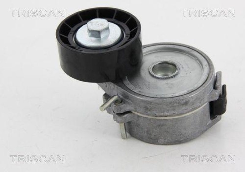 TRISCAN 8641 282017 Spannrolle für Citroen