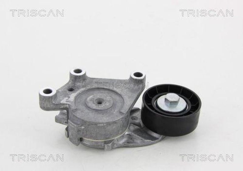 TRISCAN 8641 282018 Spannrolle für Citroen