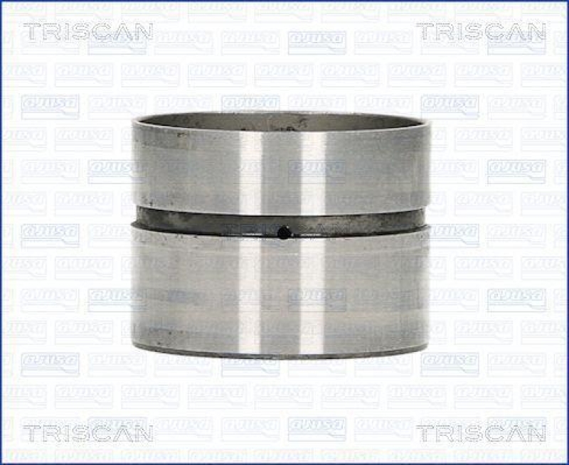 TRISCAN 80-29010 Ventilstössel für Vw