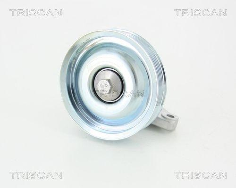 TRISCAN 8641 282020 Umlenkrolle für Citroen