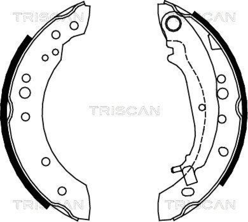 TRISCAN 8100 42020 Bremsbacken für Mitsubishi Colt