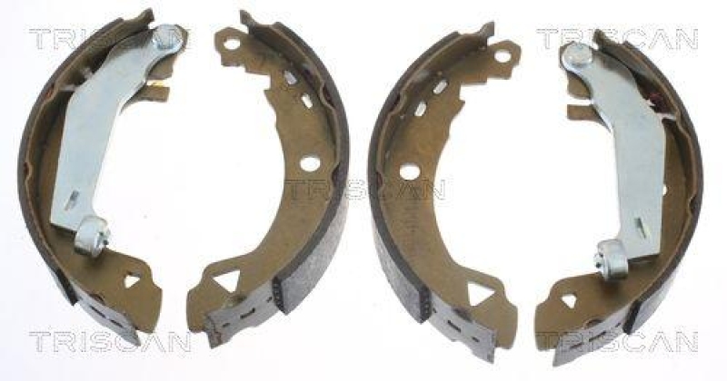 TRISCAN 8100 10008 Bremsbacken für Alfa Romeo, Citroen, Renau