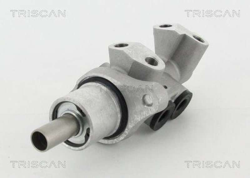 TRISCAN 8130 11135 Hauptzylinder für Bmw 3-Serie E46