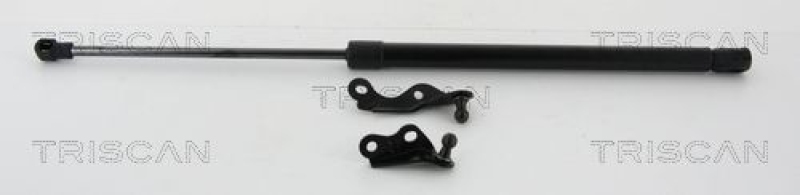 TRISCAN 8710 13287 Gasfeder Hinten für Yaris