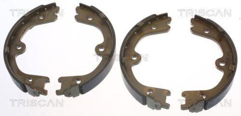 TRISCAN 8100 14009 Bremsbacken, Feststellbremse für Nissan Murano