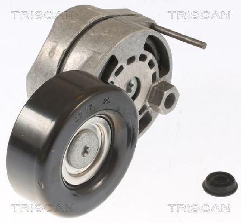 TRISCAN 8641 293024 Spannrolle für Audi