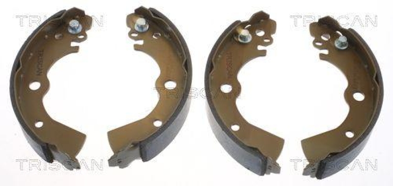 TRISCAN 8100 14532 Bremsbacken für Nissan Sunny N14