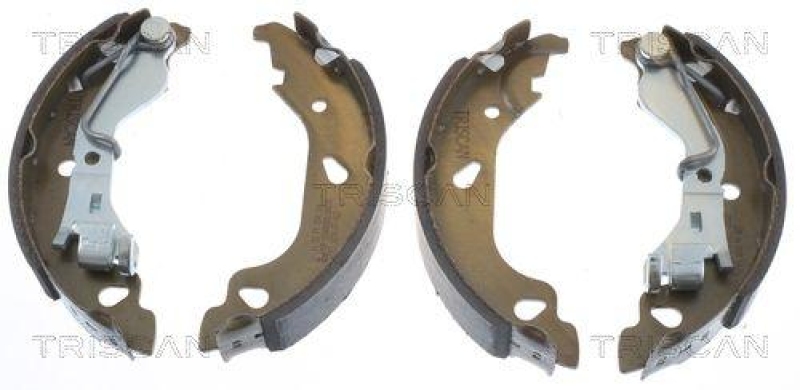 TRISCAN 8100 15013 Bremsbacken für Fiat Punto