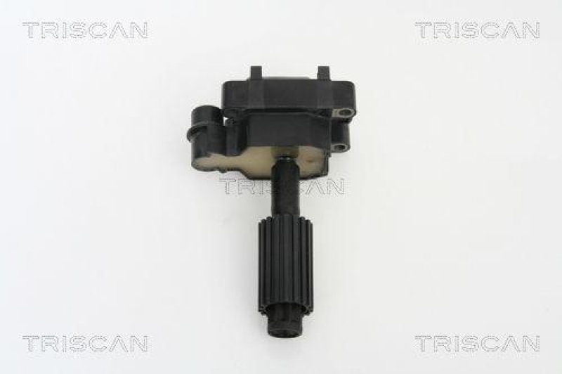 TRISCAN 8860 16015 Zündspule für Ford