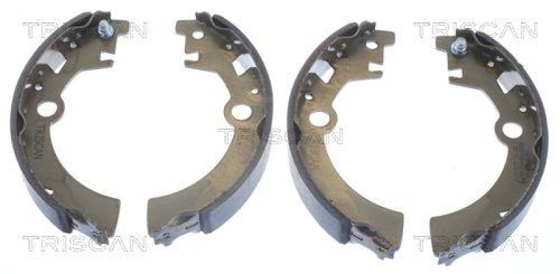 TRISCAN 8100 69600 Bremsbacken für Suzuki Wagon R