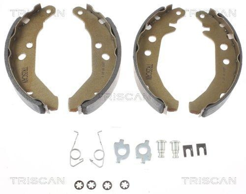 TRISCAN 8100 16010 Bremsbacken für Ford Fiesta