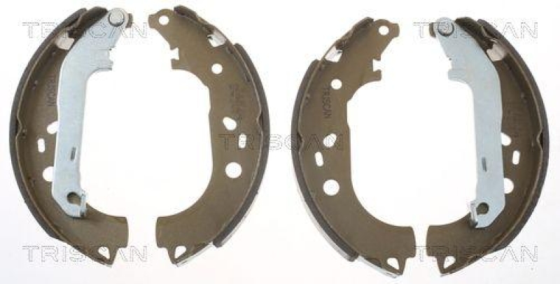 TRISCAN 8100 16011 Bremsbacken für Ford Focus