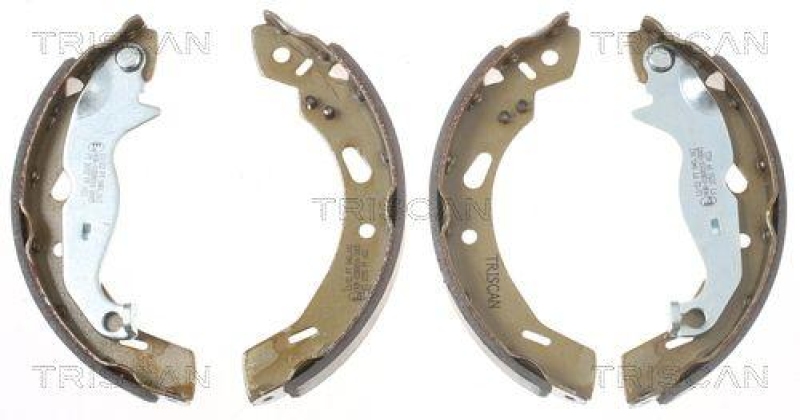 TRISCAN 8100 16013 Bremsbacken für Ford Fiesta