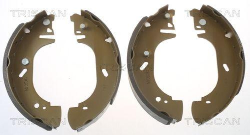 TRISCAN 8100 16542 Bremsbacken für Ford Transit