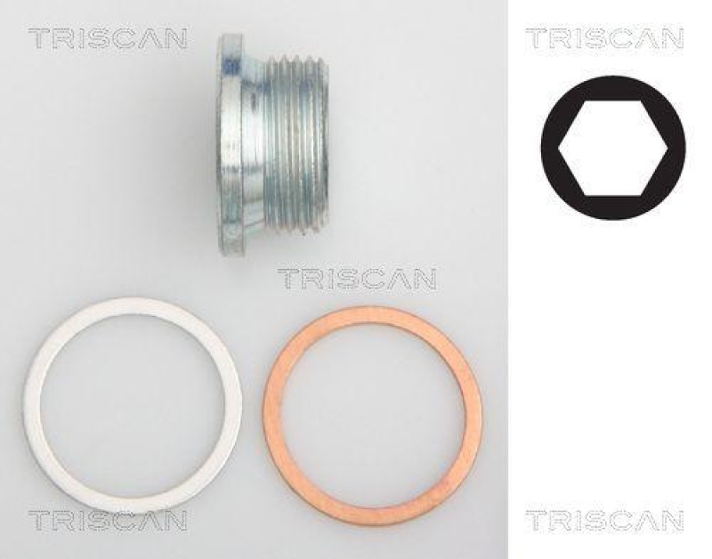 TRISCAN 9500 1018 &Ouml;lablassschraube f&uuml;r M22X1.5