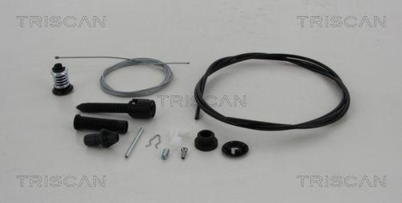 TRISCAN 8140 25313 Gaszug für Renault Twingo