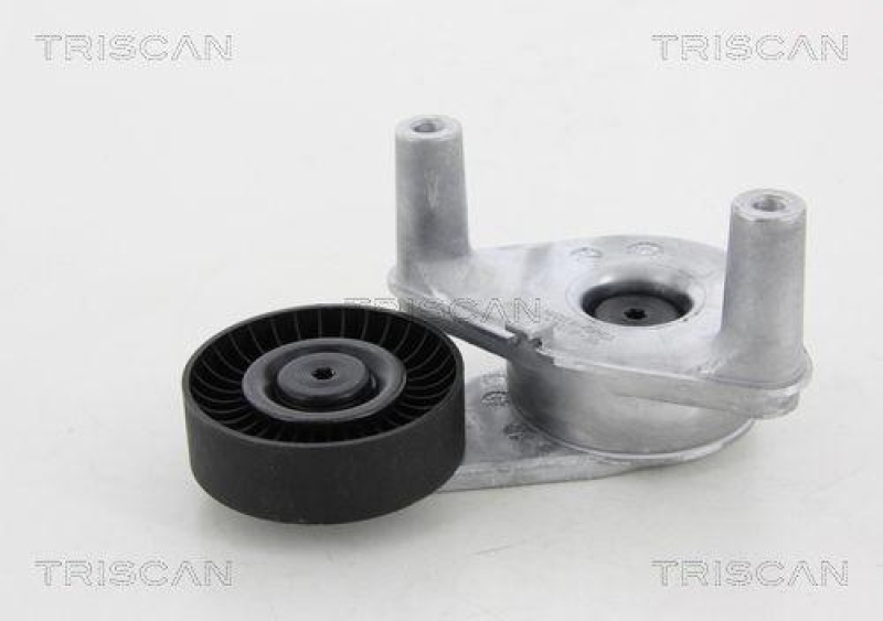 TRISCAN 8641 432006 Spannrolle für Hyundai