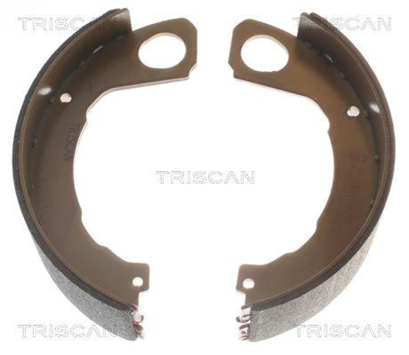 TRISCAN 8100 42022 Bremsbacken für Mitsubishi