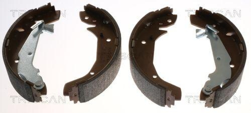 TRISCAN 8100 43025 Bremsbacken für Hyundai, Kia