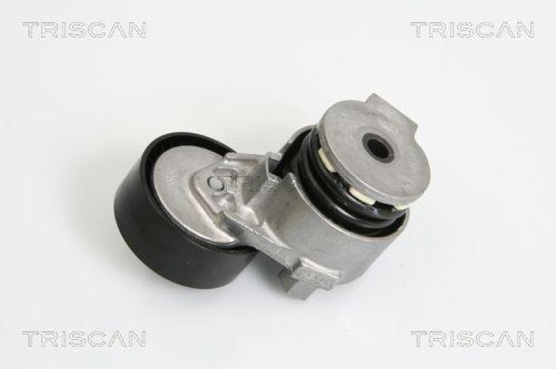 TRISCAN 8641 253007 Riemenspanneinheit für Renault