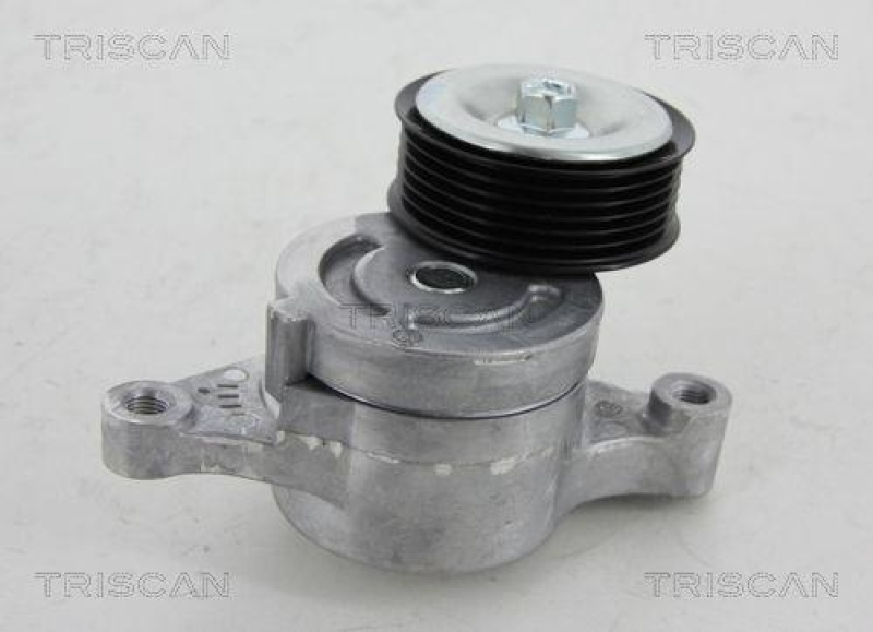 TRISCAN 8641 503009 Spannrolle für Mazda 3, 6