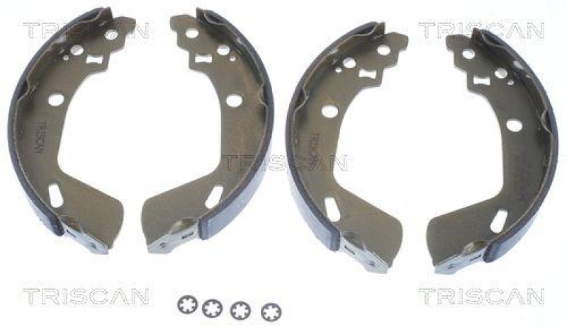 TRISCAN 8100 69009 Bremsbacken für Suzuki Swift