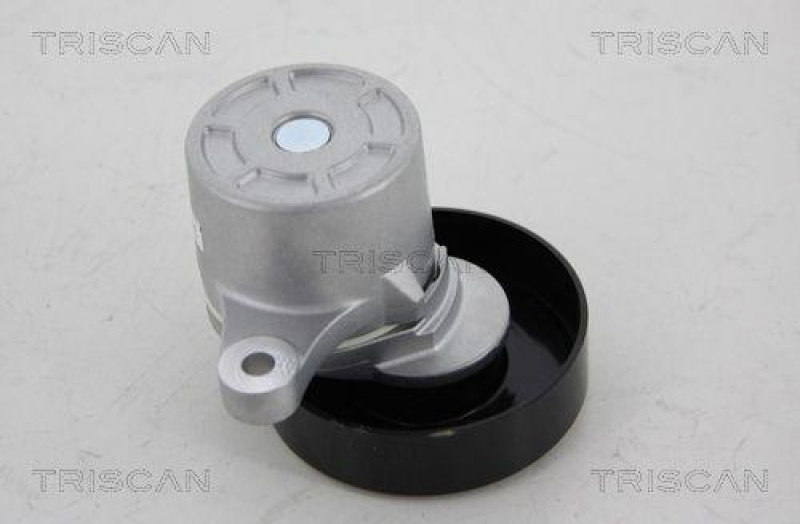 TRISCAN 8641 693002 Spannrolle für Suzuki