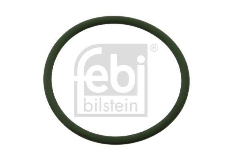 FEBI BILSTEIN 07536 Dichtring für Bremsnockenwelle für Bergische Achsen