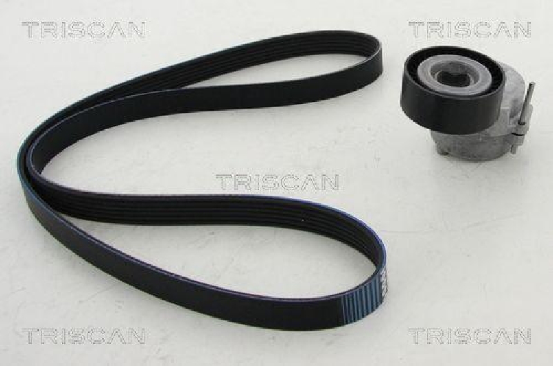 TRISCAN 8642 10015 Keilrippenriemensatz für Fiat, Opel, Suzuki