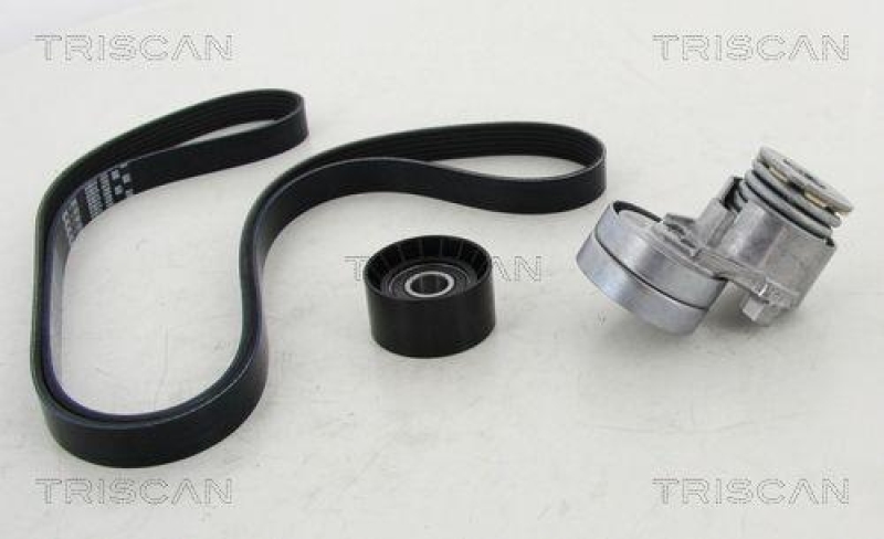 TRISCAN 8642 10017 Keilrippenriemensatz für Nissan, Opel, Renault