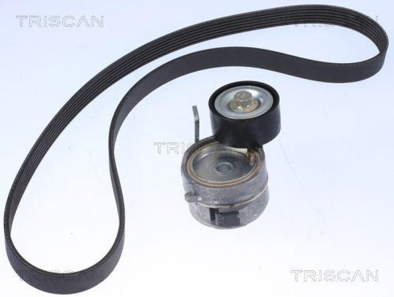 TRISCAN 8642 10022 Keilrippenriemensatz für Citroen, Peugeot