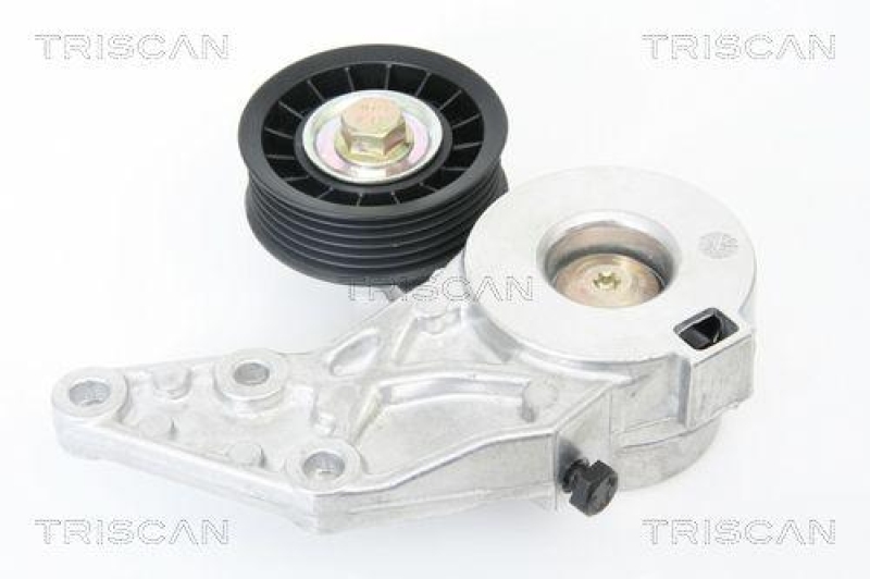 TRISCAN 8641 293013 Spannrolle für Vag