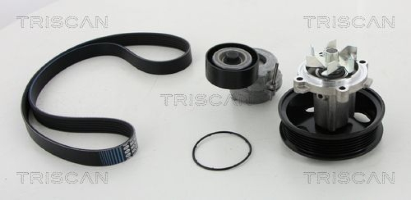 TRISCAN 8642 100501 Keilrippenriememsatz + Wasserpumpe für Alfa, Fiat, Opel, Suzuki