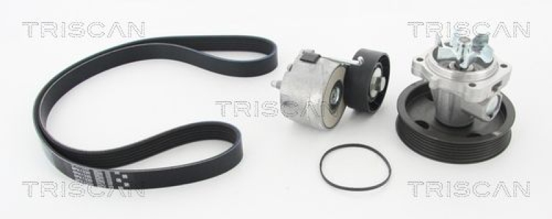 TRISCAN 8642 100503 Keilrippenriememsatz + Wasserpumpe für Alfa, Fiat, Opel