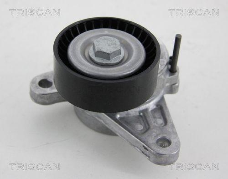 TRISCAN 8641 293048 Spannrolle für Vag