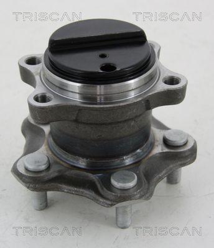 TRISCAN 8530 14261 Radnabe Hinten für Nissan Juke, Leaf