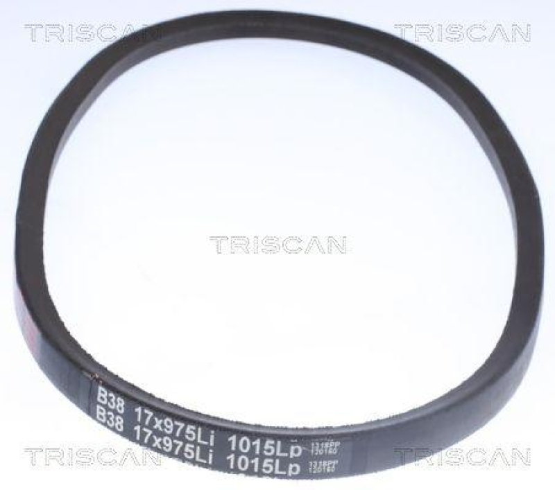 TRISCAN 8640 171045 Keilriemen für Ref. B38