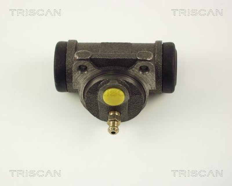 TRISCAN 8130 28047 Radzylinder für Citroen, Peugeot