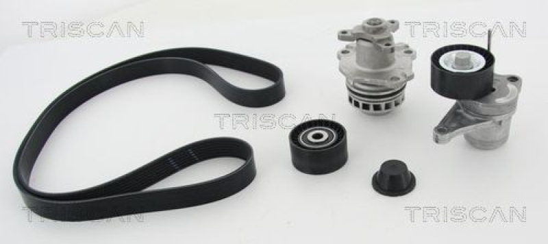 TRISCAN 8642 100505 Keilrippenriememsatz + Wasserpumpe für Nissan, Renault